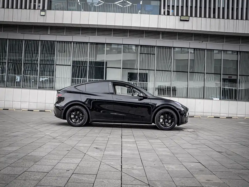 Tesla Model Y 2022 Rear-Wheel Drive 2023 - thumbnail 8
