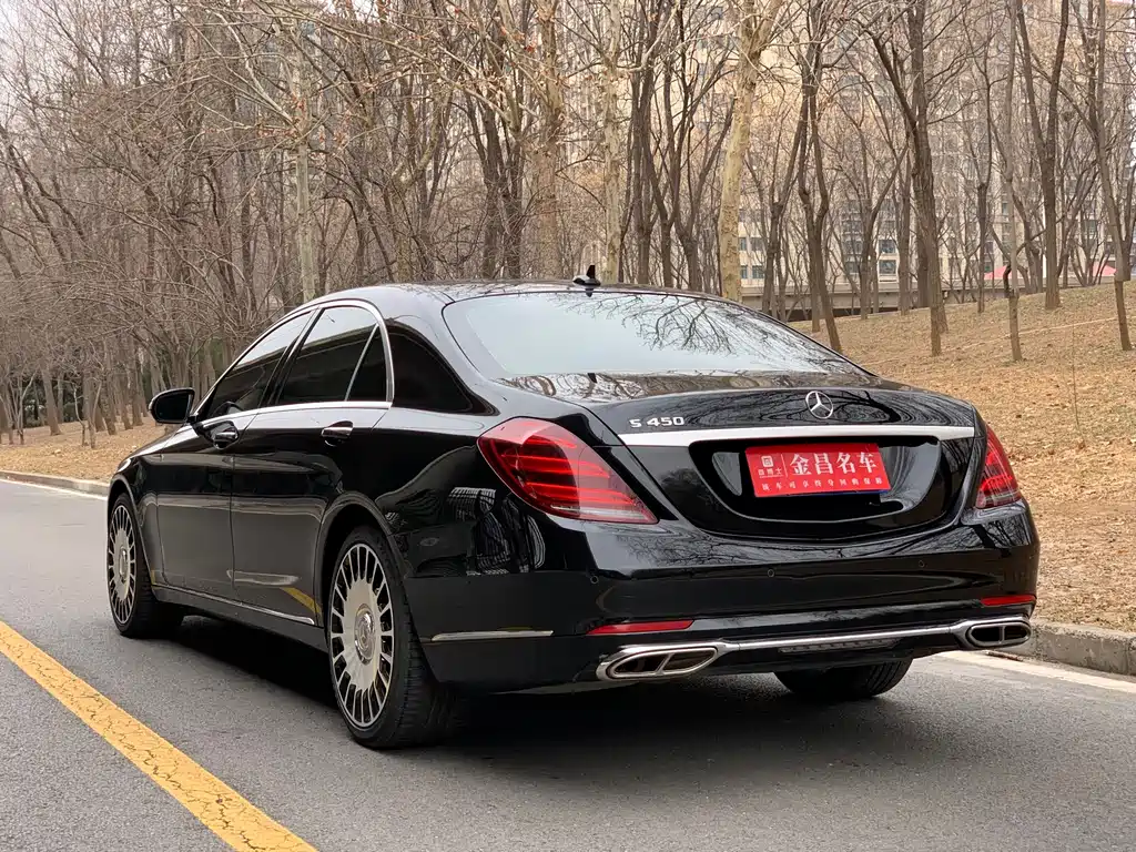 Mercedes-Benz Mercedes-Benz S-Class 2018 S 320 L 2018 - thumbnail 6