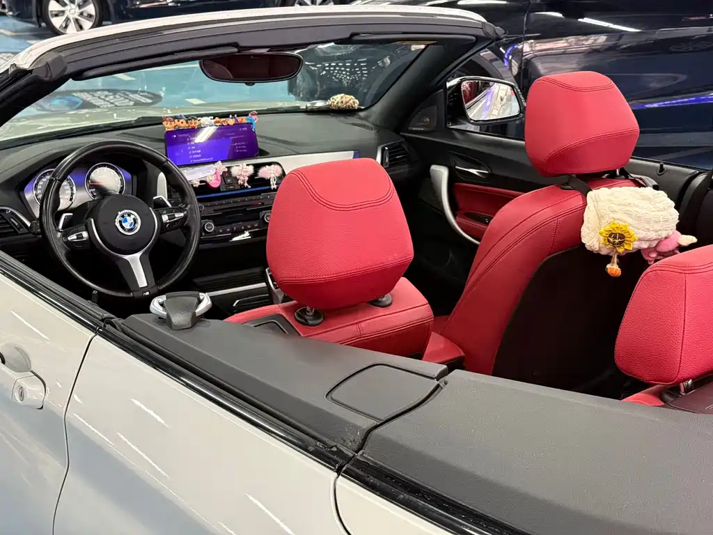 BMW BMW 2 Series Convertible 2019 225i M Sport Package 2021 - thumbnail 16