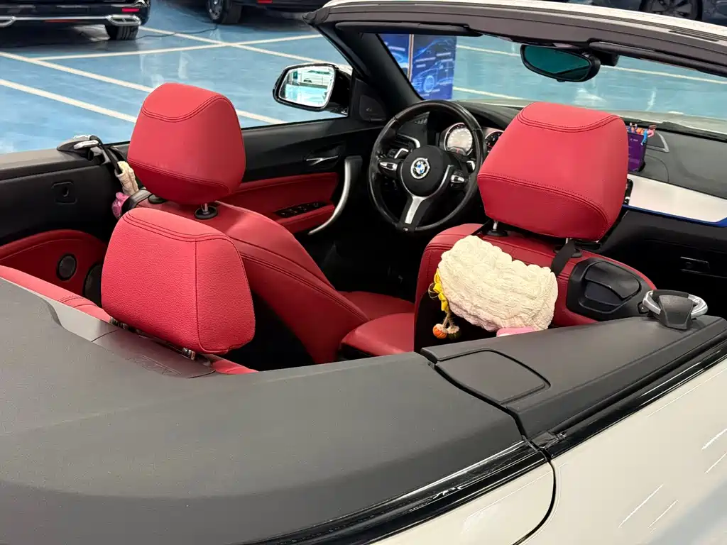 BMW BMW 2 Series Convertible 2019 225i M Sport Package 2021 - thumbnail 17