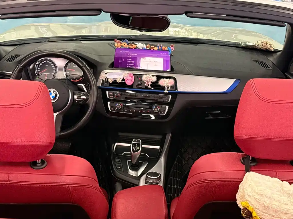 BMW BMW 2 Series Convertible 2019 225i M Sport Package 2021 - thumbnail 18