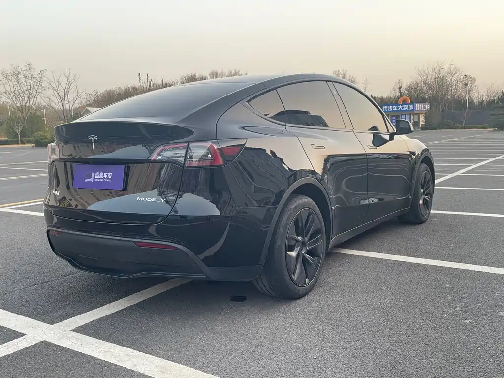 Tesla Model Y 2023 Rear-Wheel Drive 2023 - thumbnail 9