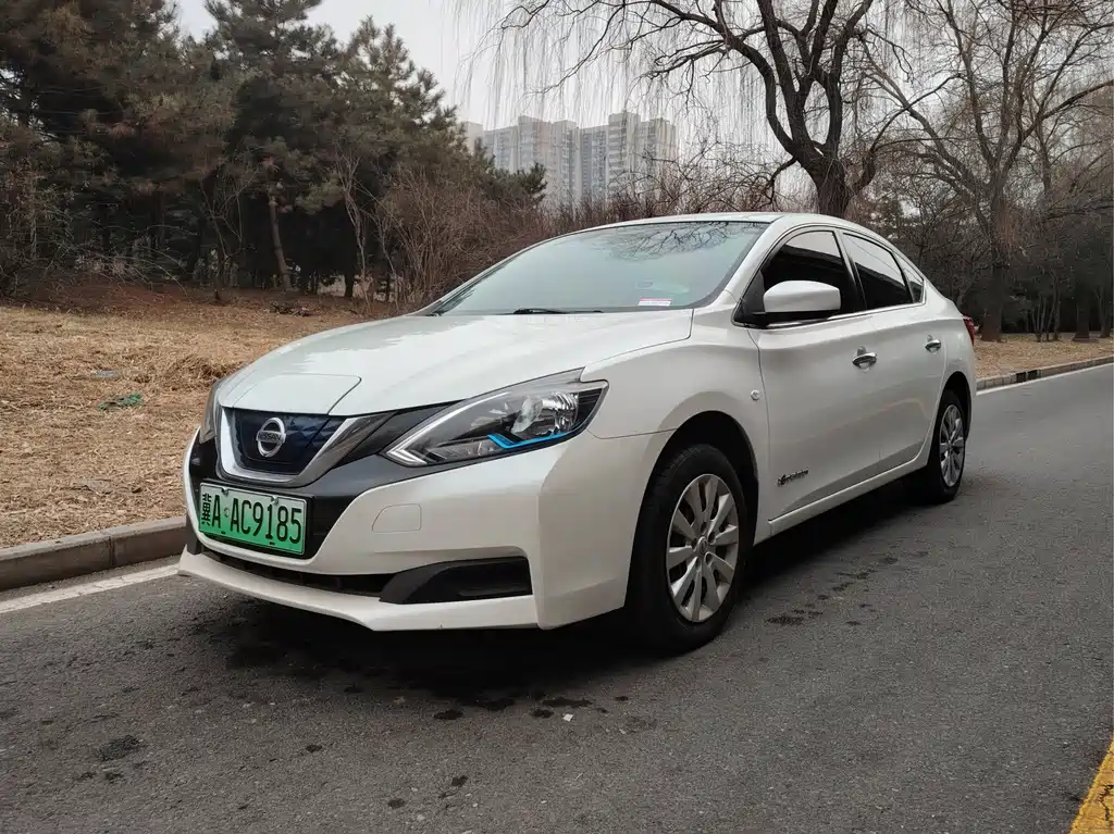 Nissan Nissan Sylphy Pure Electric 2018 Intelligent Supreme Edition 2019