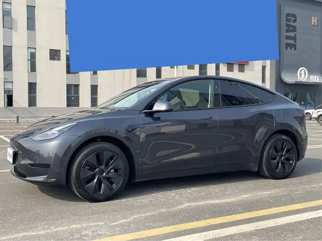Tesla Model Y 2024 Rear-Wheel Drive Version 2025