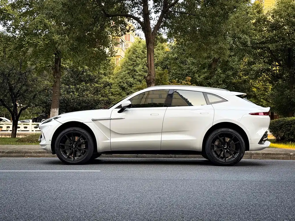 Aston Martin Aston Martin DBX 2023 3.0T Straight-Six 2022 - thumbnail 7