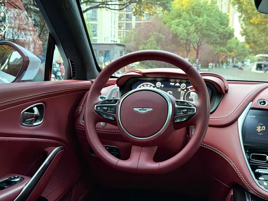 Aston Martin Aston Martin DBX 2023 3.0T Straight-Six 2022 - thumbnail 15