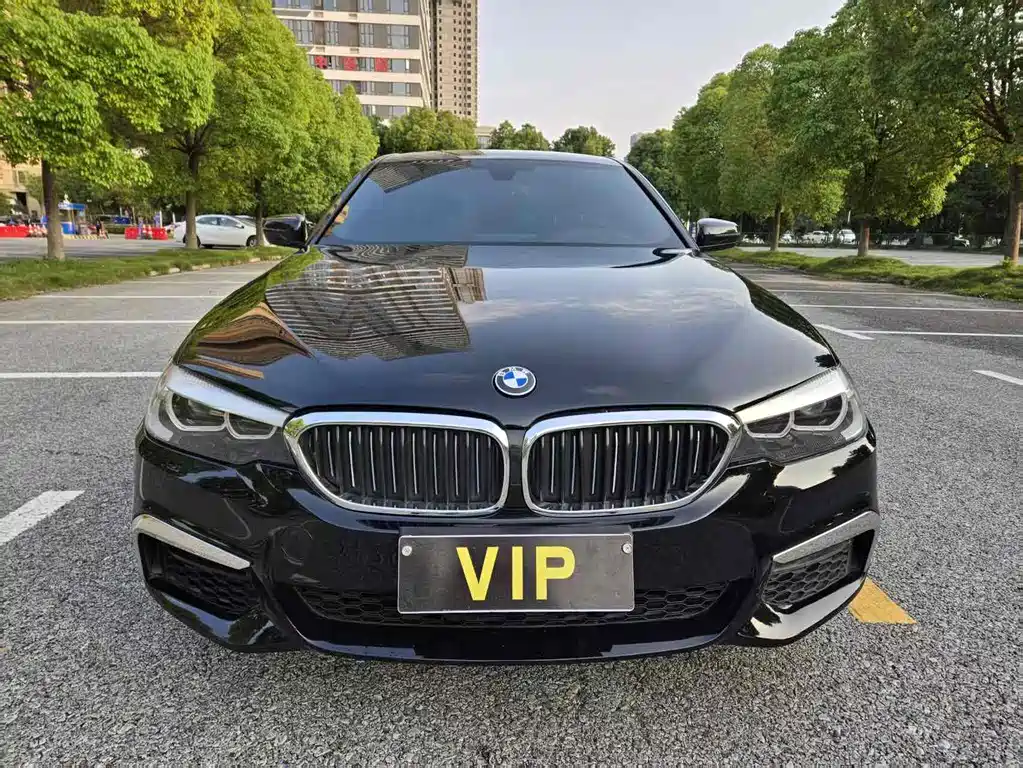 BMW BMW 5 Series Import 2019 525i M Sport Package 2019 - thumbnail 2