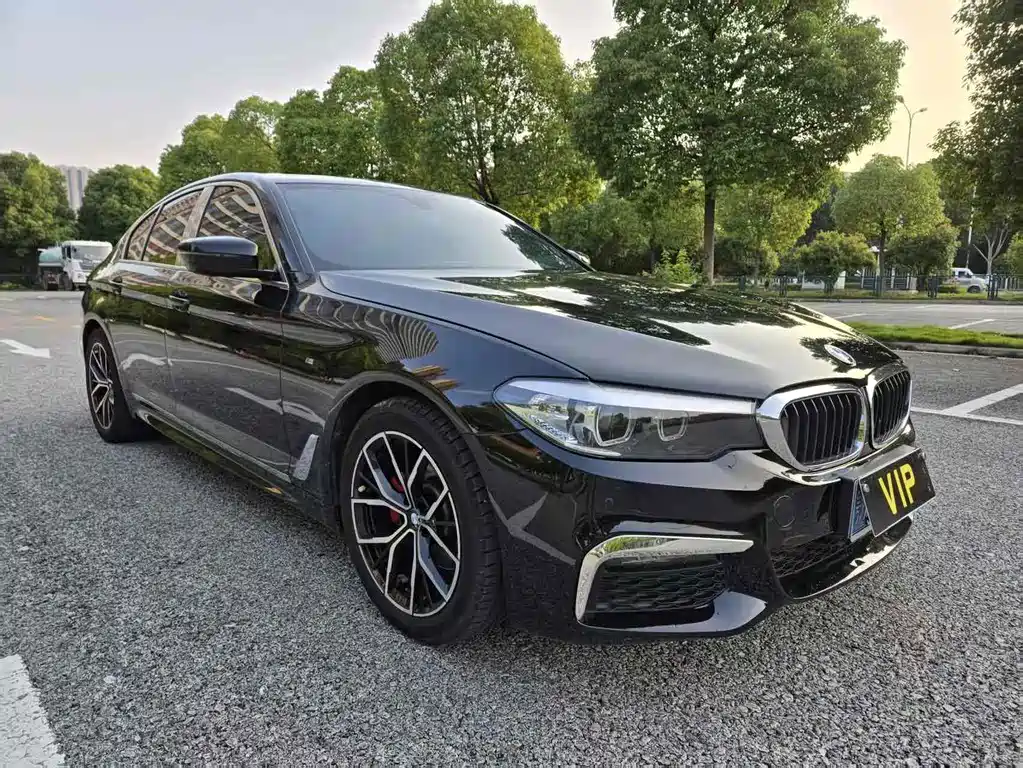 BMW BMW 5 Series Import 2019 525i M Sport Package 2019 - thumbnail 3