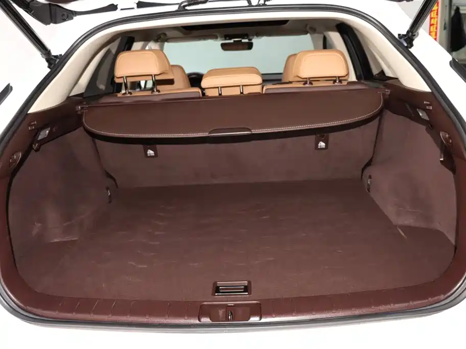 Lexus Lexus RX 300 AWD Elegant Edition 2016 Model China V 2017 - thumbnail 17