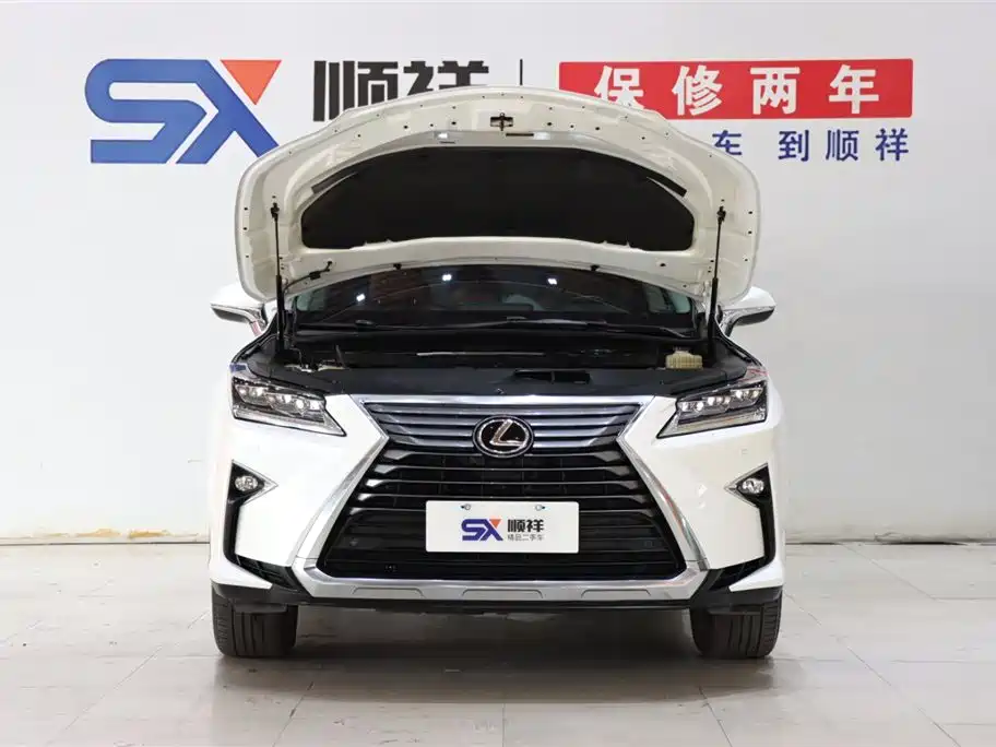 Lexus Lexus RX 300 AWD Elegant Edition 2016 Model China V 2017 - thumbnail 18
