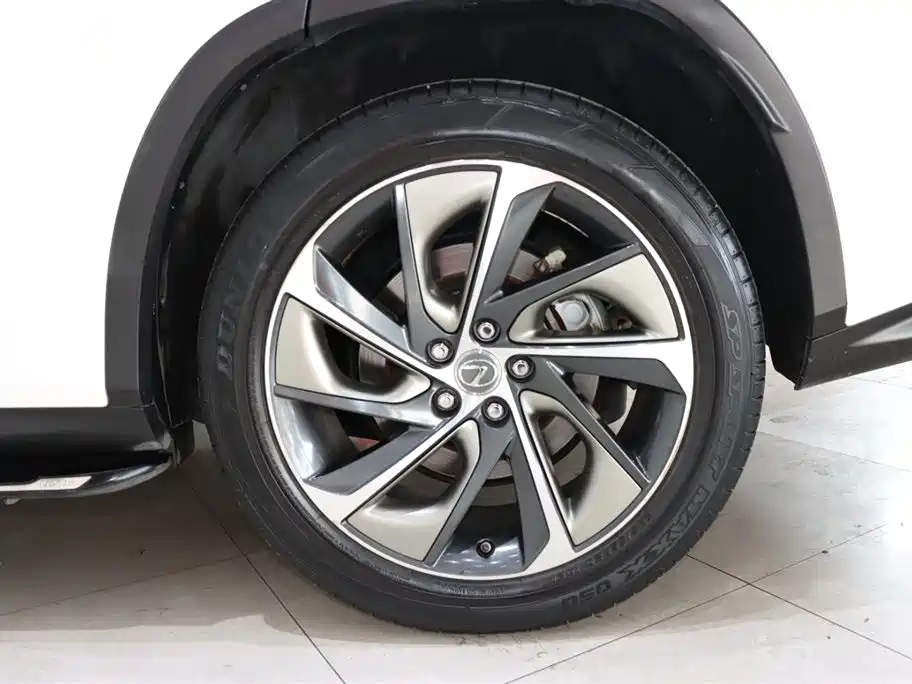 Lexus Lexus RX 300 AWD Elegant Edition 2016 Model China V 2017 - thumbnail 20