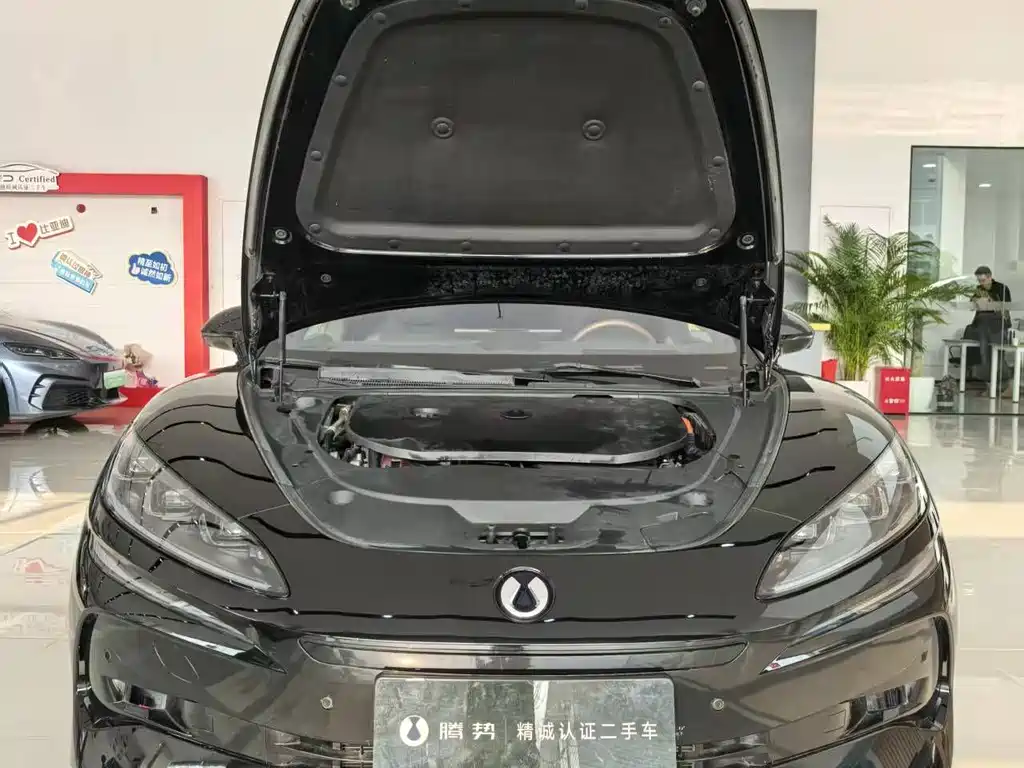Denza Tang Z9 2024 Model 1100km AWD Ultra Edition 2024 - thumbnail 13