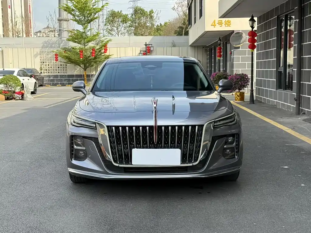Hongqi Hongqi H5 2023 2.0T Automatic Smart Connectivity Flag Enjoyment Edition 2023 - thumbnail 2