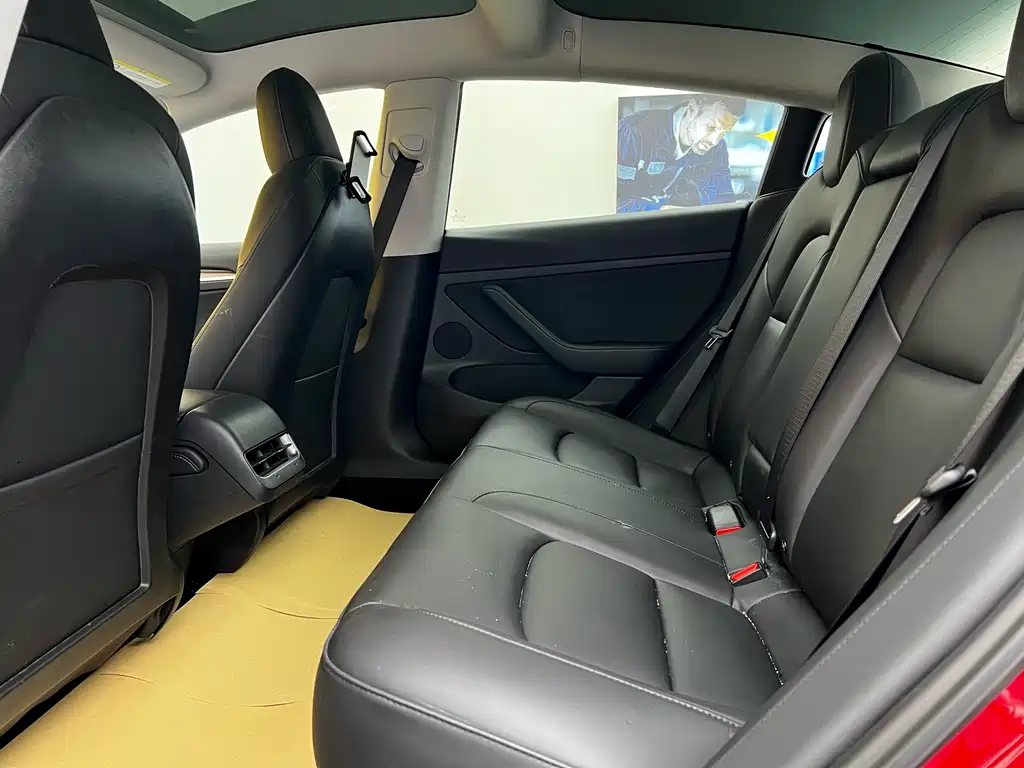 Tesla Model 3 2021 Standard Range Rear-Wheel Drive Enhanced Version 3D1 2021 - thumbnail 7