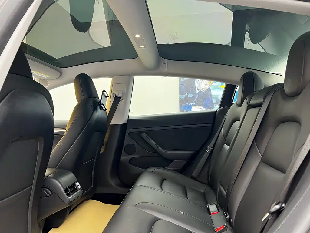 Tesla Model 3 2021 Standard Range Rear-Wheel Drive Enhanced Version 3D1 2021 - thumbnail 8