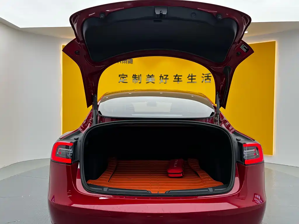 Tesla Model 3 2021 Standard Range Rear-Wheel Drive Enhanced Version 3D1 2021 - thumbnail 24
