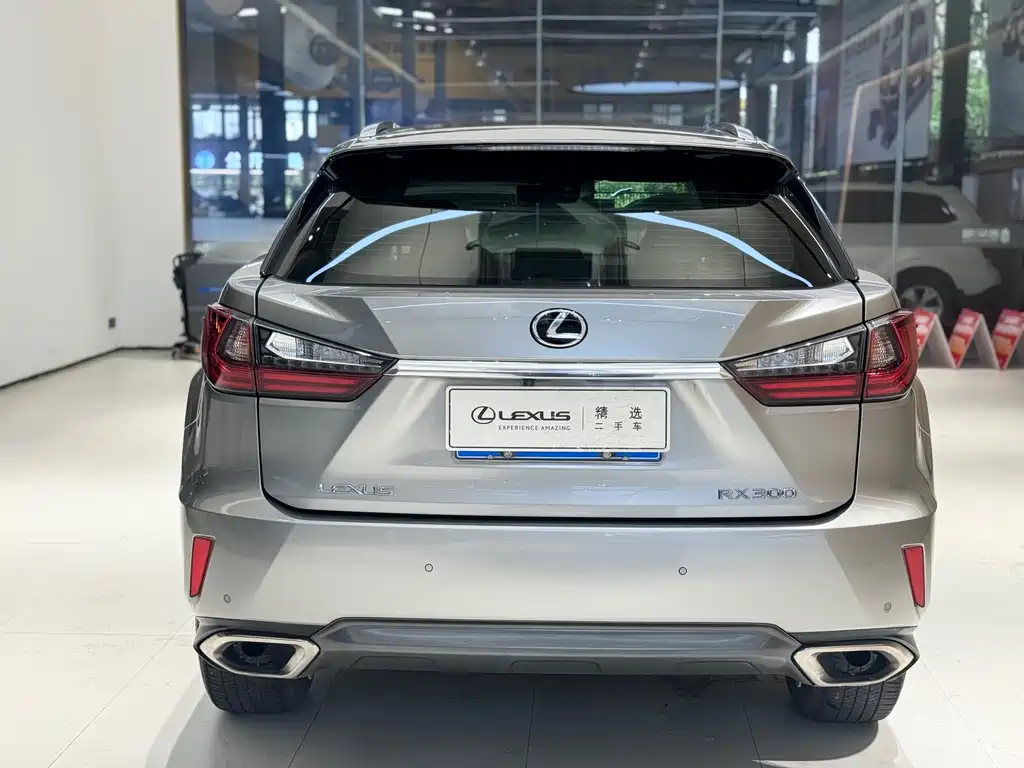 Lexus Lexus RX 300 2016 2WD Comfort Edition China V 2019 - thumbnail 4