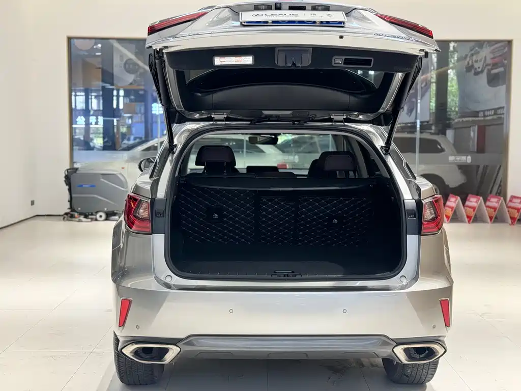Lexus Lexus RX 300 2016 2WD Comfort Edition China V 2019 - thumbnail 5