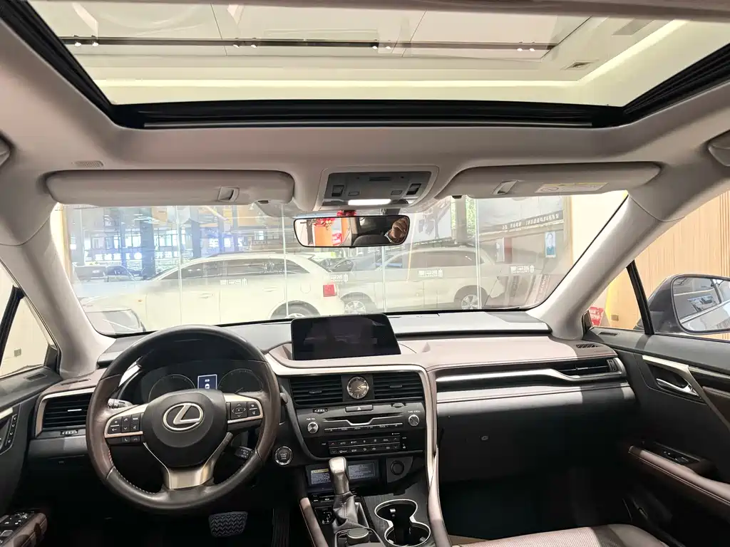 Lexus Lexus RX 300 2016 2WD Comfort Edition China V 2019 - thumbnail 9