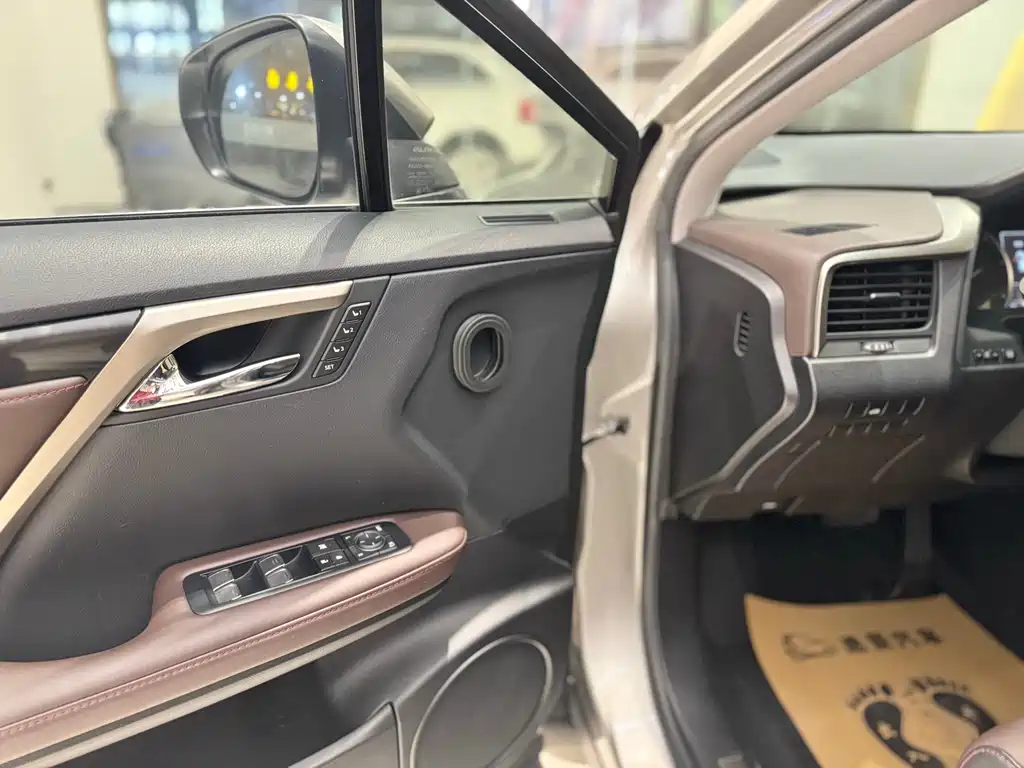 Lexus Lexus RX 300 2016 2WD Comfort Edition China V 2019 - thumbnail 16