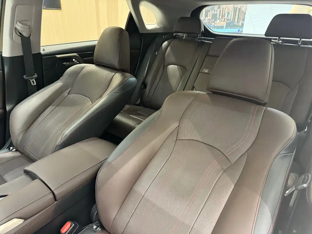 Lexus Lexus RX 300 2016 2WD Comfort Edition China V 2019 - thumbnail 19