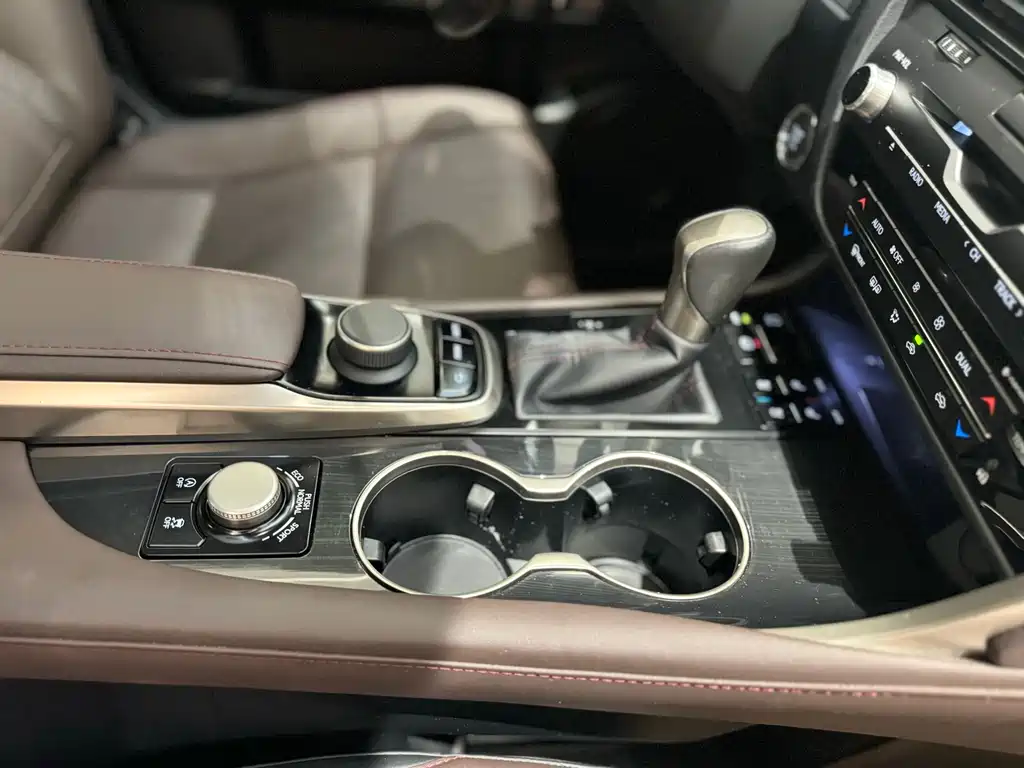 Lexus Lexus RX 300 2016 2WD Comfort Edition China V 2019 - thumbnail 21