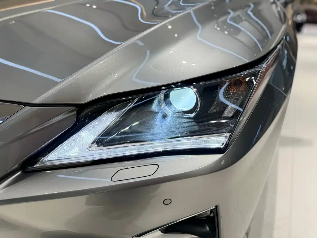 Lexus Lexus RX 300 2016 2WD Comfort Edition China V 2019 - thumbnail 22