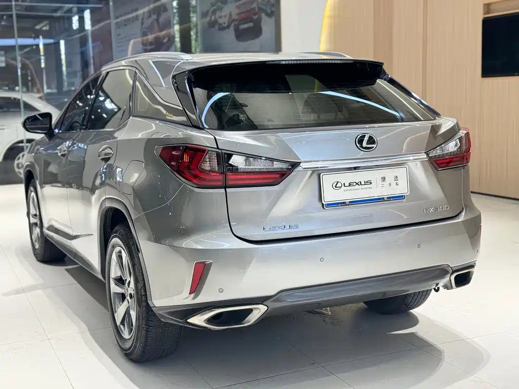 Lexus Lexus RX 300 2016 2WD Comfort Edition China V 2019 - thumbnail 23