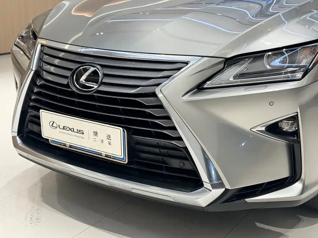 Lexus Lexus RX 300 2016 2WD Comfort Edition China V 2019 - thumbnail 25