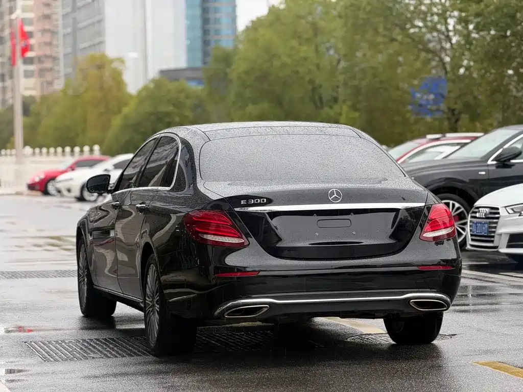 Mercedes-Benz Mercedes-Benz E-Class 2020 E 300 L Luxury Model 2019 - thumbnail 14