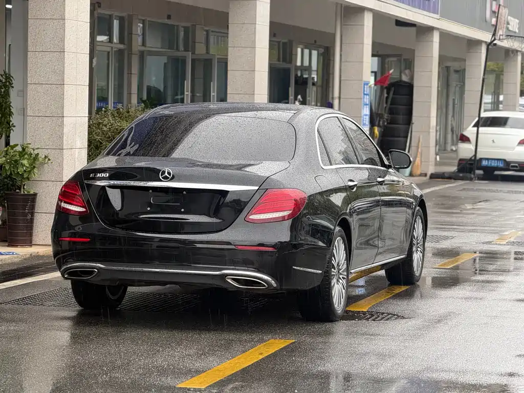Mercedes-Benz Mercedes-Benz E-Class 2020 E 300 L Luxury Model 2019 - thumbnail 15
