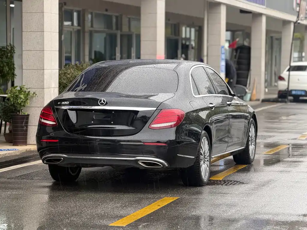 Mercedes-Benz Mercedes-Benz E-Class 2020 E 300 L Luxury Model 2019 - thumbnail 16