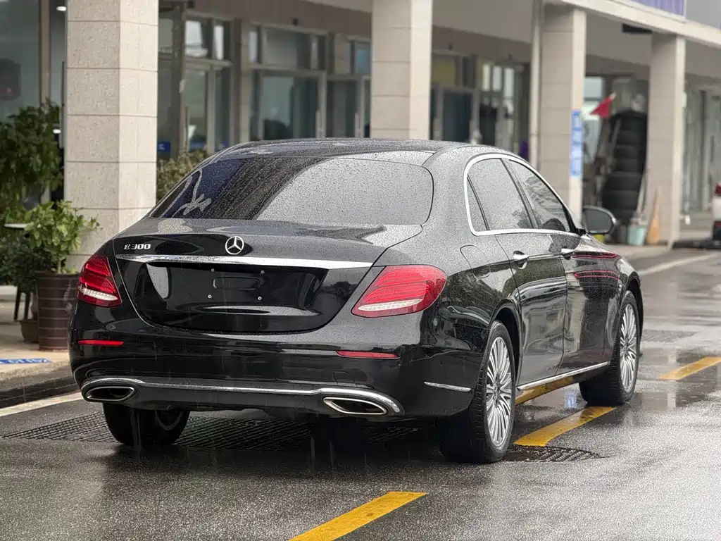 Mercedes-Benz Mercedes-Benz E-Class 2020 E 300 L Luxury Model 2019 - thumbnail 17