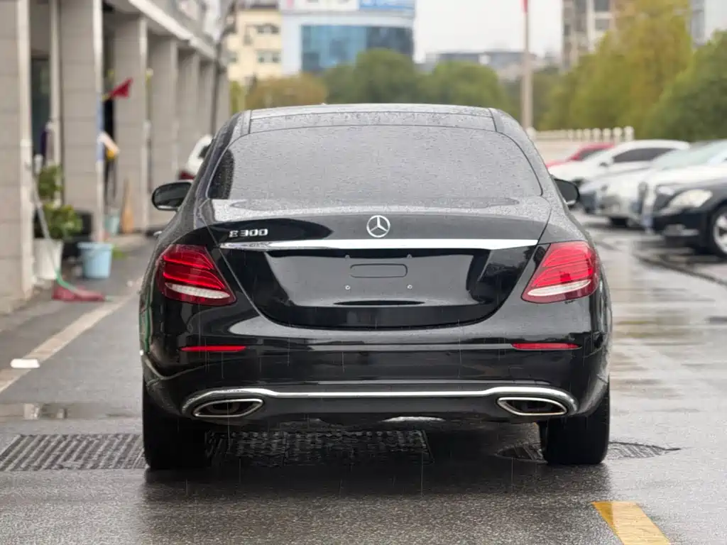 Mercedes-Benz Mercedes-Benz E-Class 2020 E 300 L Luxury Model 2019 - thumbnail 26