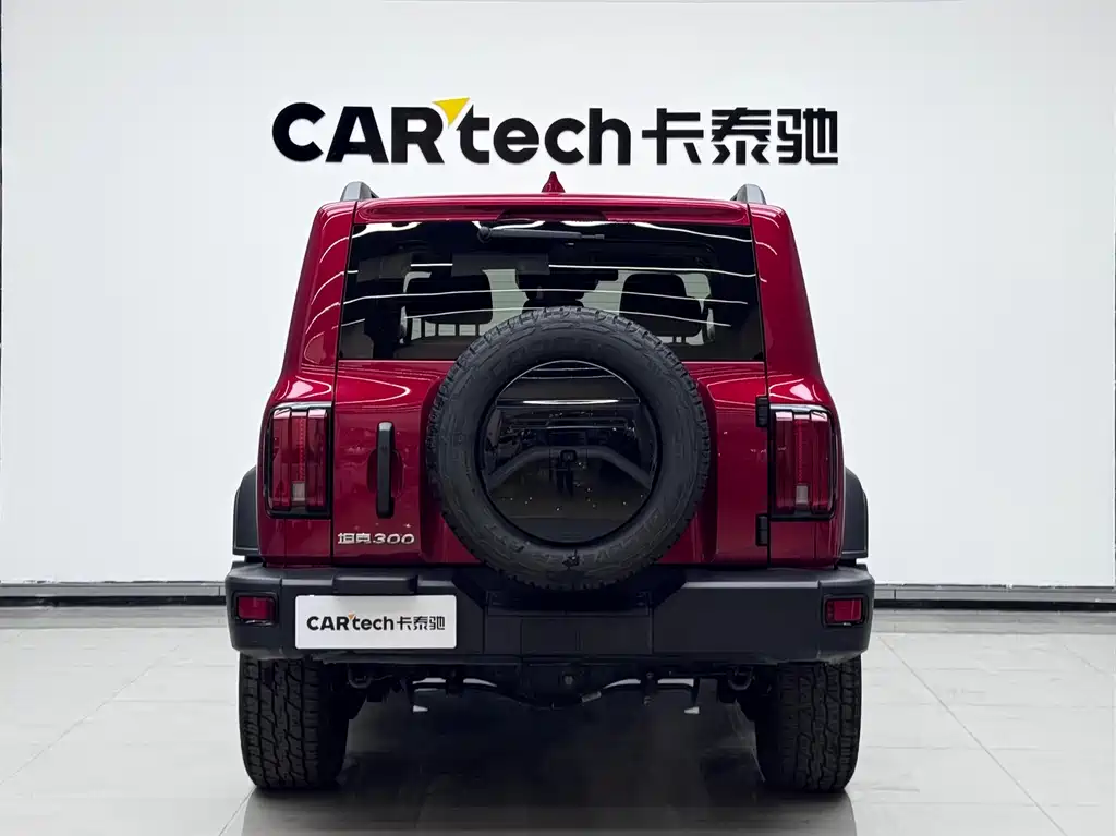 Tank Tank 300 2021 Off-road Edition 2.0T Conqueror 2022 - thumbnail 5