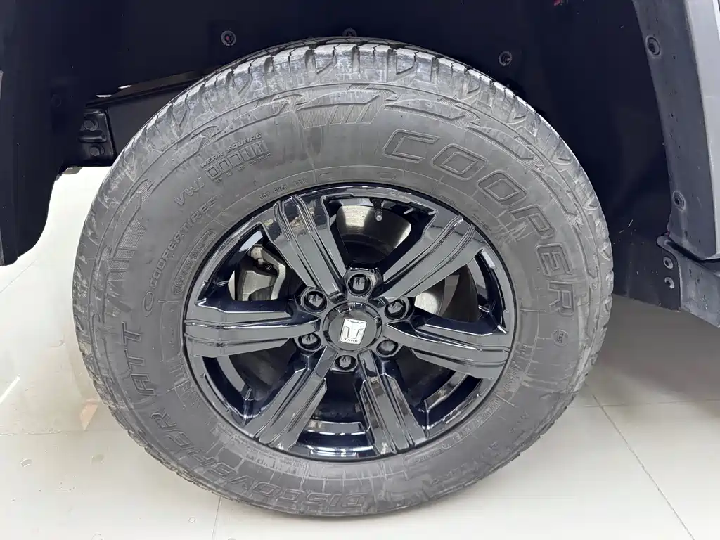 Tank Tank 300 2021 Off-road Edition 2.0T Conqueror 2022 - thumbnail 10