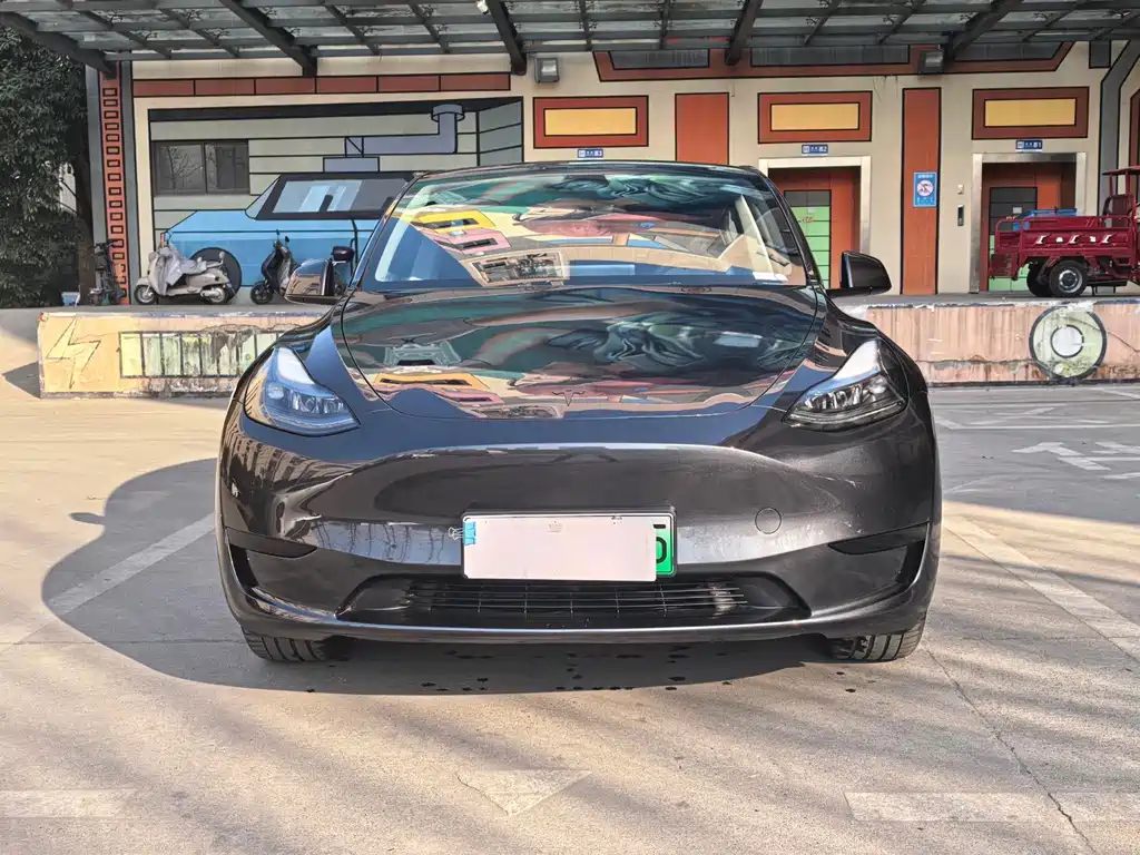 Tesla Model Y 2024 Rear-Wheel Drive 2024 - thumbnail 2