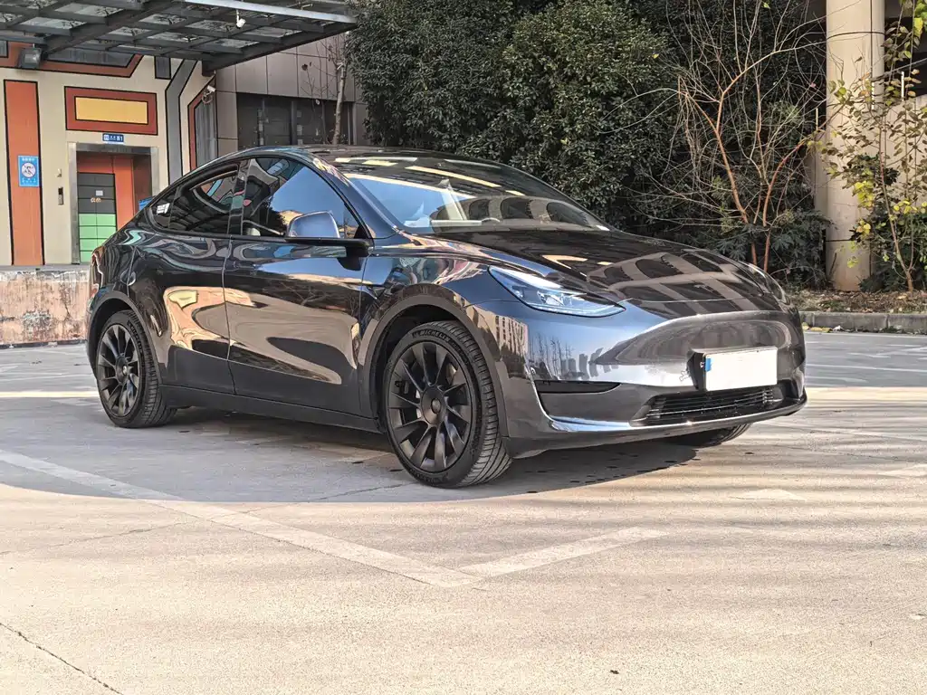 Tesla Model Y 2024 Rear-Wheel Drive 2024 - thumbnail 3