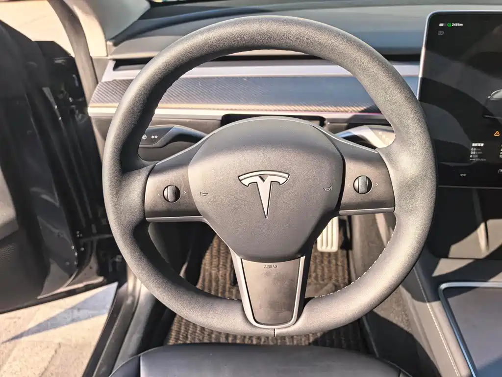 Tesla Model Y 2024 Rear-Wheel Drive 2024 - thumbnail 10