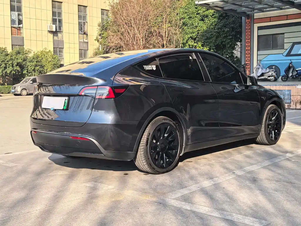 Tesla Model Y 2024 Rear-Wheel Drive 2024 - thumbnail 19