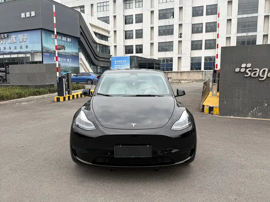 Tesla Model Y 2022 Rear-Wheel Drive 2022 - thumbnail 2