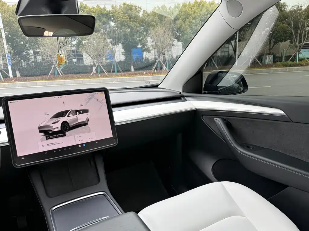 Tesla Model Y 2022 Rear-Wheel Drive 2022 - thumbnail 9