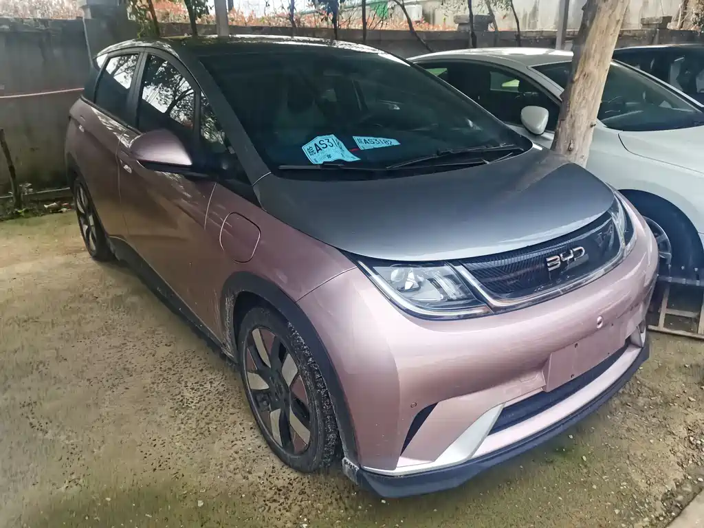 BYD Dolphin 2021 Model 405km Fashion Edition 2024