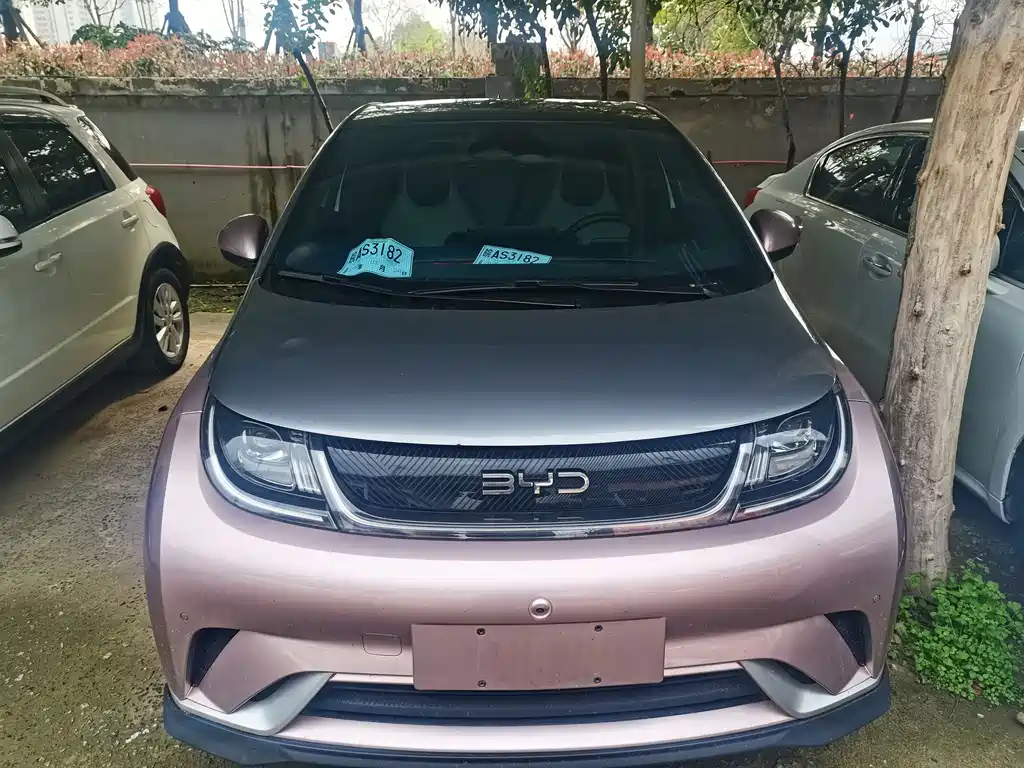 BYD Dolphin 2021 Model 405km Fashion Edition 2024 - thumbnail 2