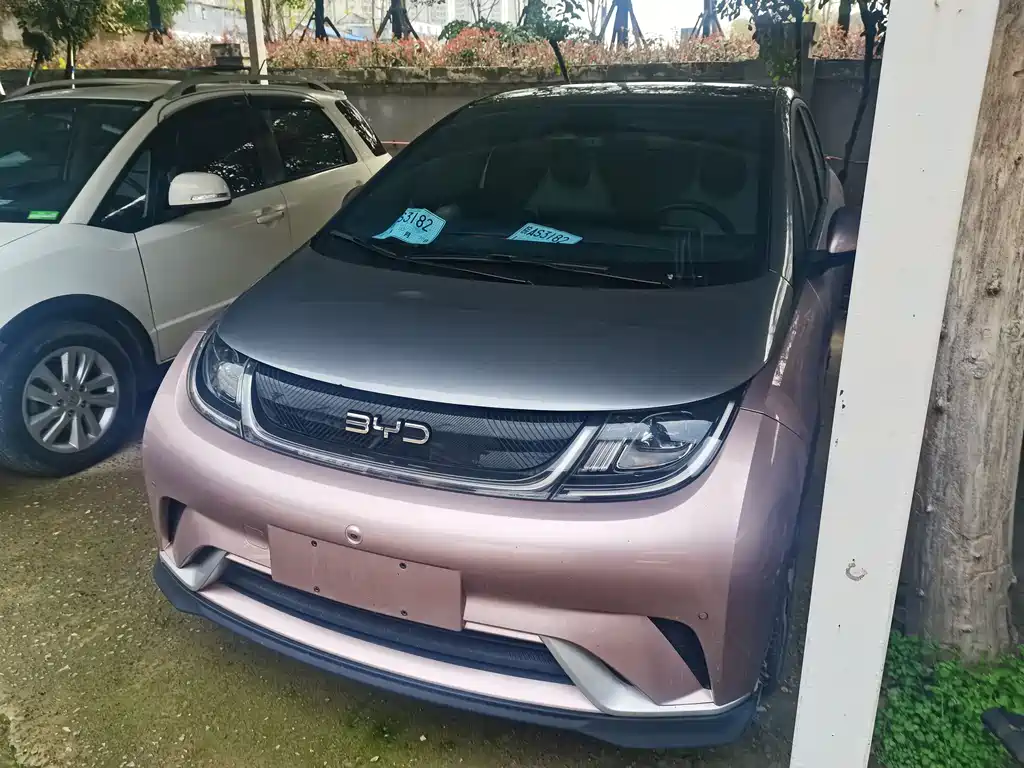BYD Dolphin 2021 Model 405km Fashion Edition 2024 - thumbnail 3