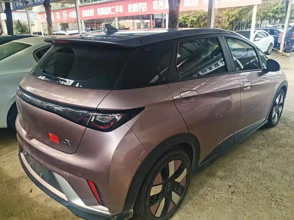 BYD Dolphin 2021 Model 405km Fashion Edition 2024 - thumbnail 11