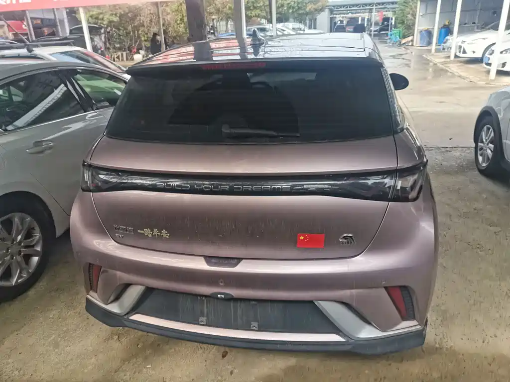 BYD Dolphin 2021 Model 405km Fashion Edition 2024 - thumbnail 12