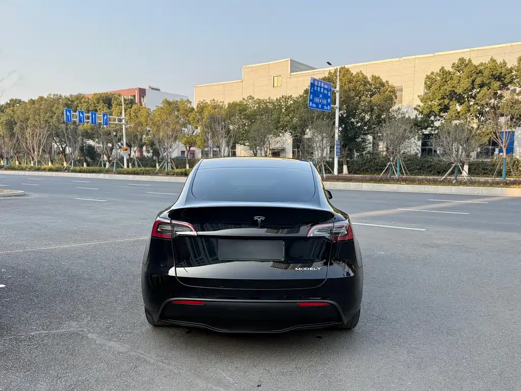 Tesla Model Y 2022 Rear-Wheel Drive Version 2022 - thumbnail 4
