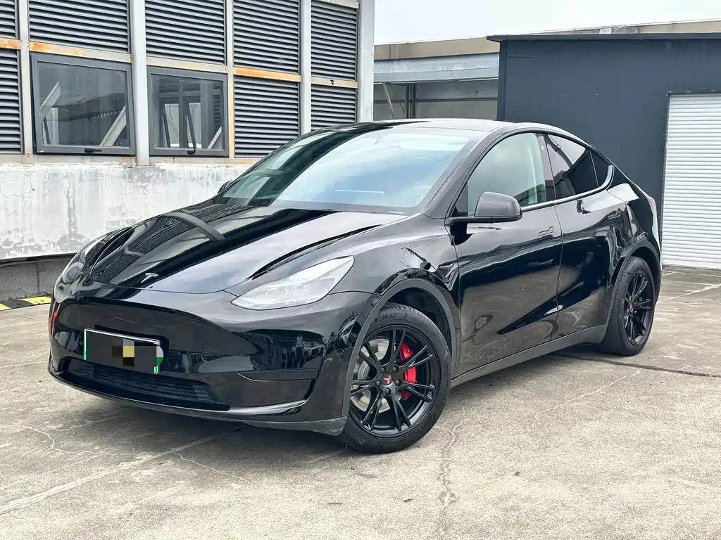 Tesla Model Y 2022 Rear-Wheel Drive Version 2023