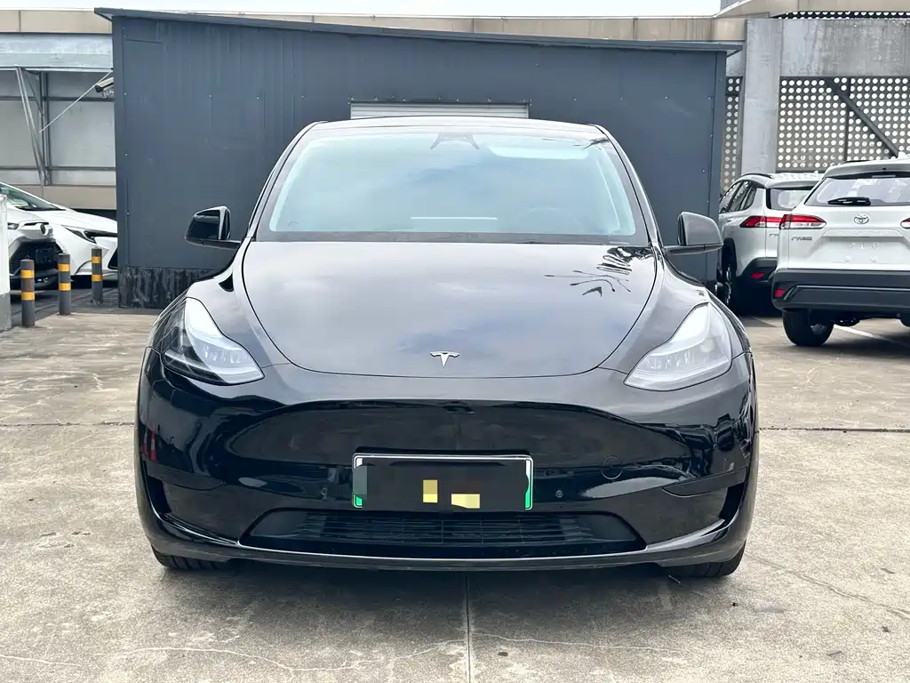 Tesla Model Y 2022 Rear-Wheel Drive Version 2023 - thumbnail 2